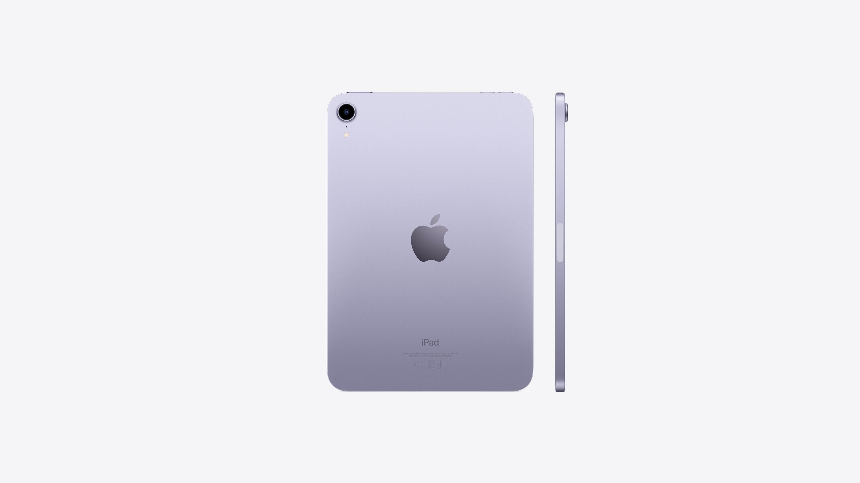 iPad Mini - 6